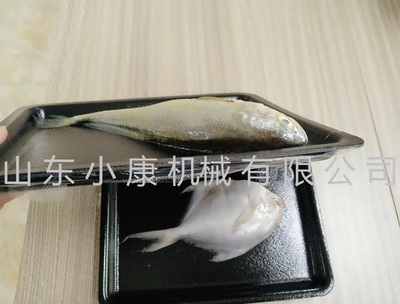 連續(xù)貼體包裝機(jī) 自動切割貼體包裝機(jī)廠家包郵